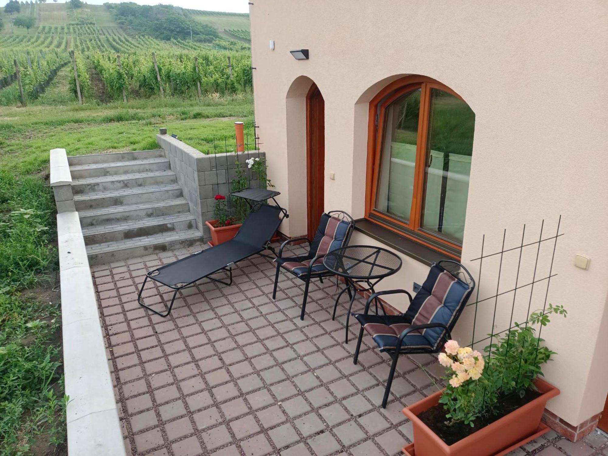 Sklep Vino Strycek Guest House Velke Bilovice Exterior photo