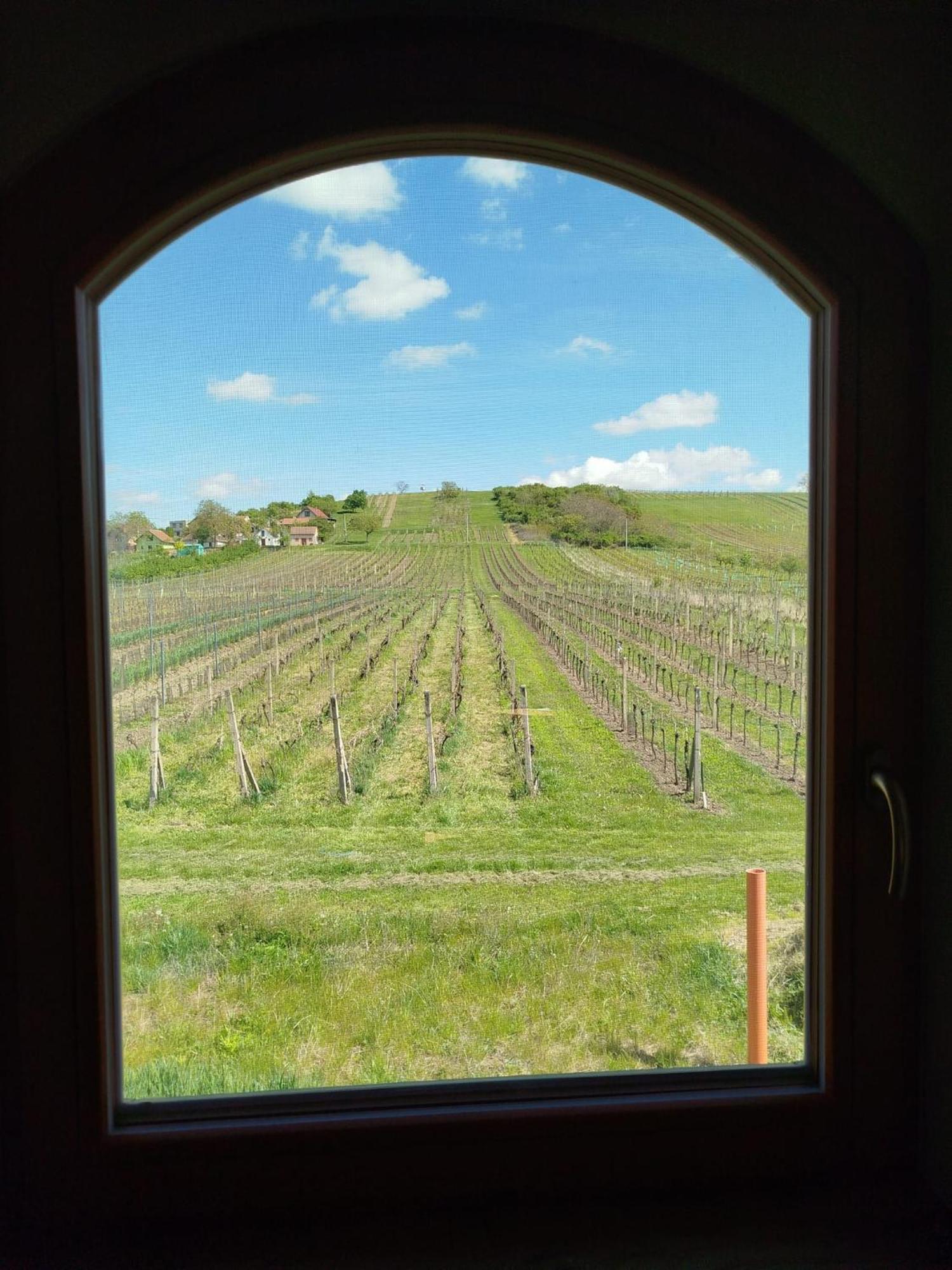 Sklep Vino Strycek Guest House Velke Bilovice Exterior photo
